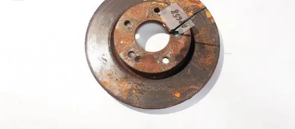 Hyundai Santa Fe Front brake disc ventiliuojamas