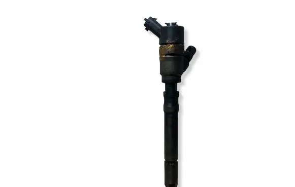 Hyundai Santa Fe Fuel injector 3380027900