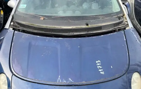 Smart ForFour I Engine bonnet/hood 