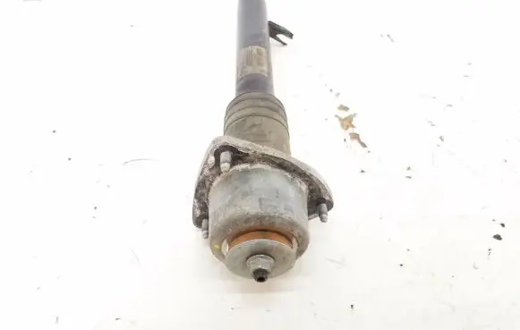BMW X6 E71 Rear shock absorber with coil spring 6783018