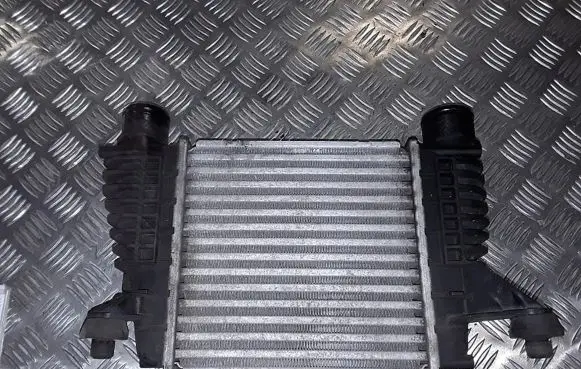 Nissan Juke I F15 Intercooler radiator 14461EM00A