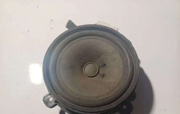 Chevrolet Captiva Front door speaker C100AT