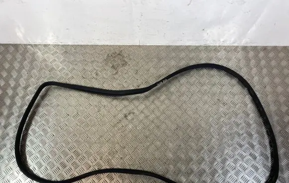 SsangYong Rexton Front door rubber seal