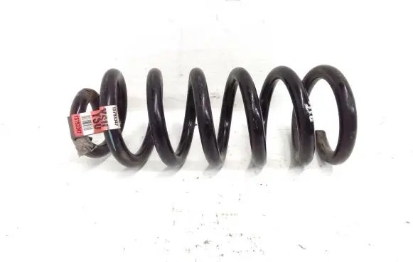 Cadillac CTS Rear coil spring 15793347