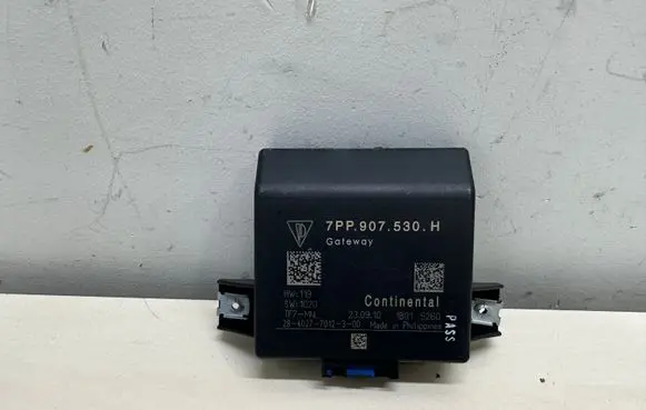 Porsche Cayenne (92A) Gateway control module 7PP907530H