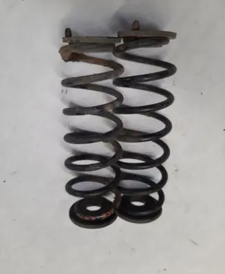 Rear coil spring