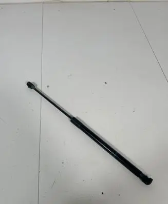 Tailgate strut