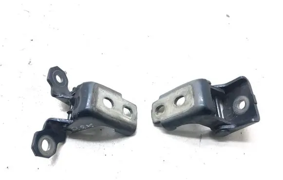 Renault Megane III Rear door hinge set 804200003RK