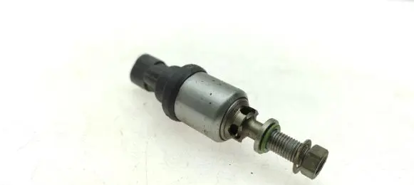 Subaru Outback LP gas injector 67R010223 C03392