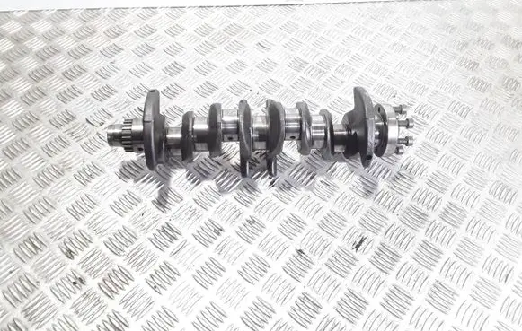 Skoda Roomster (5J) Crankshaft 