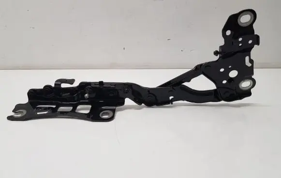 BMW i4 Engine bonnet/hood hinges 7450589 139896 13989610