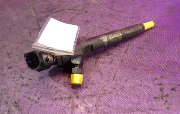 Renault Kangoo II Fuel injector H8200294788