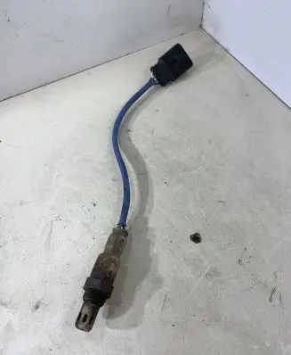 Fiat Punto (199) Lambda probe sensor 55219791
