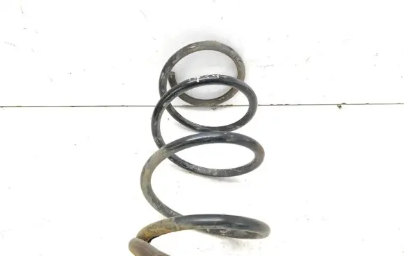 Renault Laguna III Front coil spring