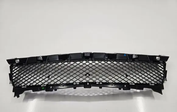 Mercedes-Benz SLK AMG R172 Front bumper lower grill A1728851523