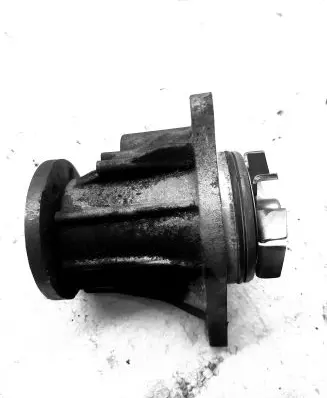 Land Rover Range Rover Sport L320 Water pump