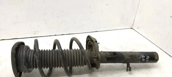 Front shock absorber with coil spring