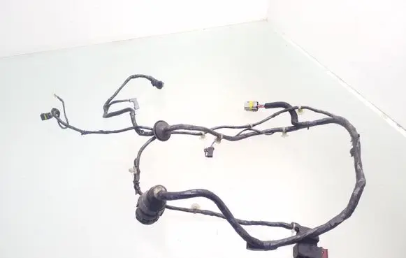 Front door wiring loom