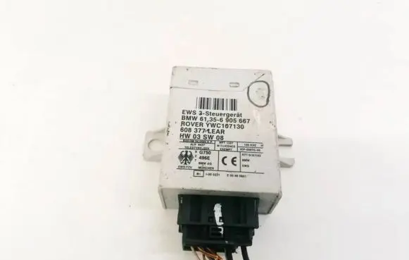BMW X5 E53 Immobilizer control unit/module 61356905667 608377