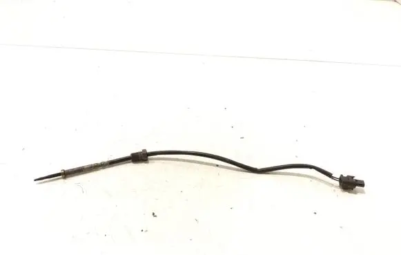 Exhaust gas temperature sensor