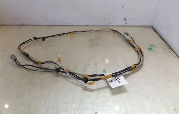 Suzuki Ignis Other wiring loom
