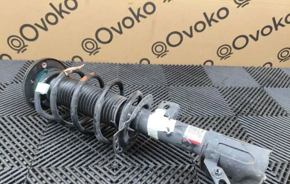 Ford Edge II Front shock absorber with coil spring K2GC18045