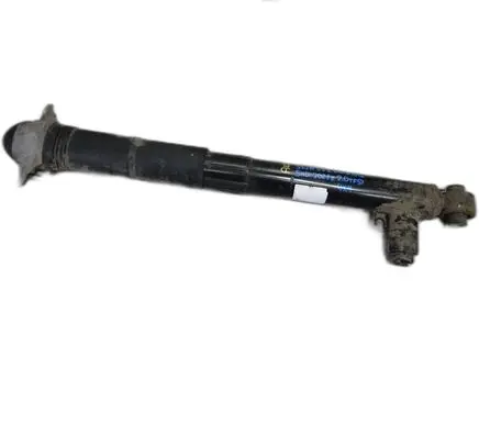 Volkswagen Golf VIII Shock absorber/damper/air suspension 5WA512009BG
