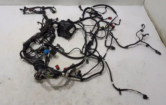 Citroen C4 III e-C4 Other wiring loom 9842593380