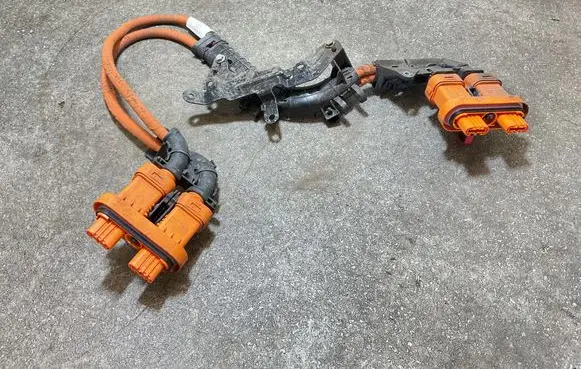 Volkswagen ID.3 Other wiring loom 1EA971015AA 1EA015V1 803807808