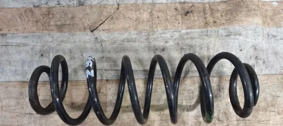 Rear coil spring