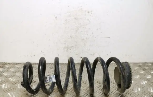 Rear coil spring