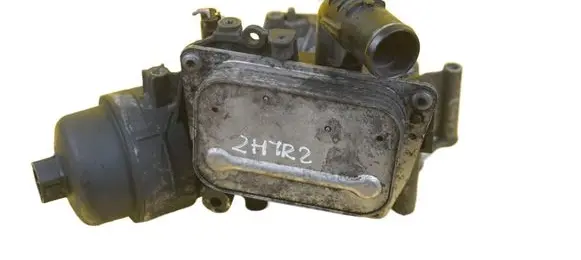Opel Corsa E Oil filter mounting bracket 55256614 B13DTR