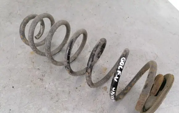 Volkswagen Golf V Rear coil spring