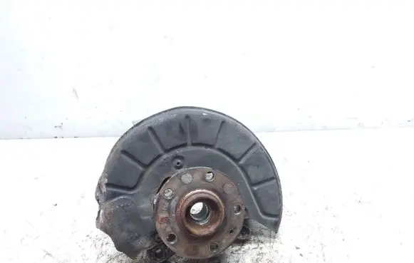 Volkswagen PASSAT B6 Front wheel hub spindle knuckle