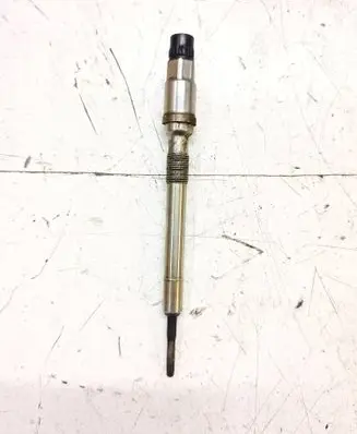 Volkswagen Multivan T6 Glow plug 0103110102 03L905061G