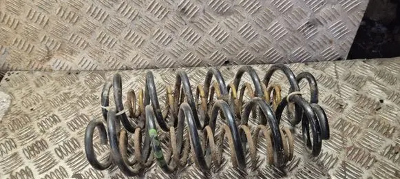 Skoda Octavia Mk2 (1Z) Rear coil spring 