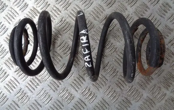 Rear coil spring