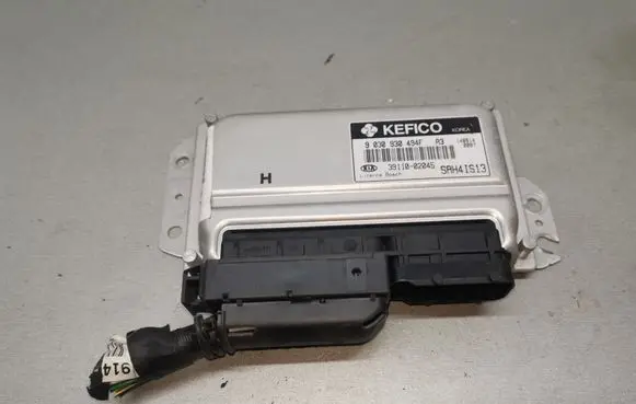 KIA Picanto Engine control unit/module 3911002045