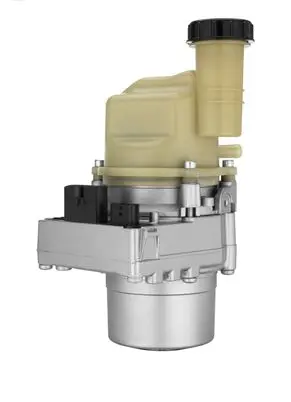 Dacia Lodgy Power steering pump 491100611R