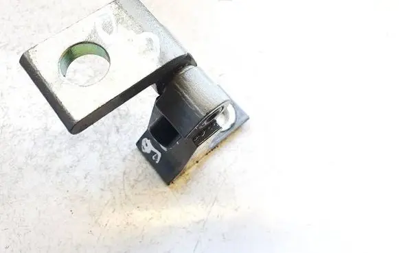 Cupra Born Rear door lower hinge 11a831406b