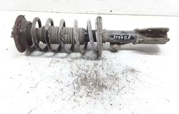 Chevrolet Captiva Front shock absorber with coil spring