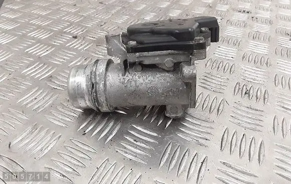Renault Kangoo II Throttle valve 161a09794r