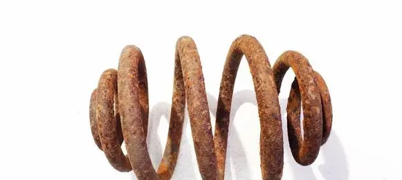 Volkswagen Sharan Rear coil spring 