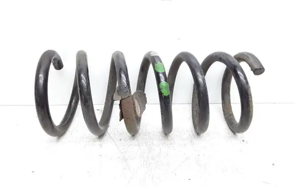 Rear coil spring
