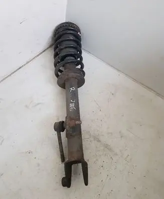 Chrysler 300 - 300C Front shock absorber with coil spring 04895627AB