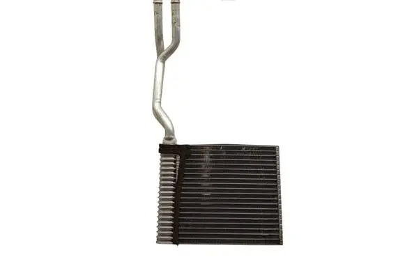 Ford S-MAX Heater blower radiator