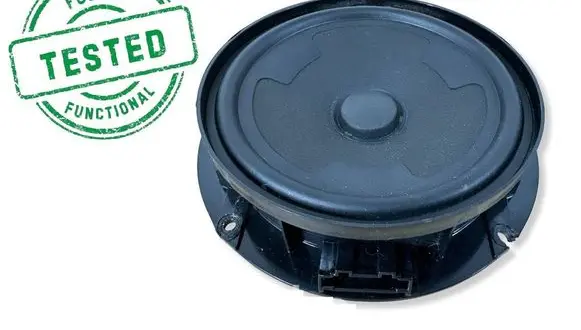 Volkswagen PASSAT B8 Rear door speaker 3G0035453