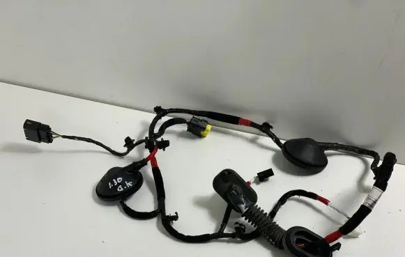 Hyundai i30 Rear door wiring loom 91650G4060