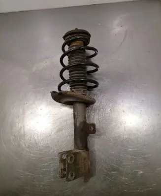 Citroen C4 II Front shock absorber with coil spring