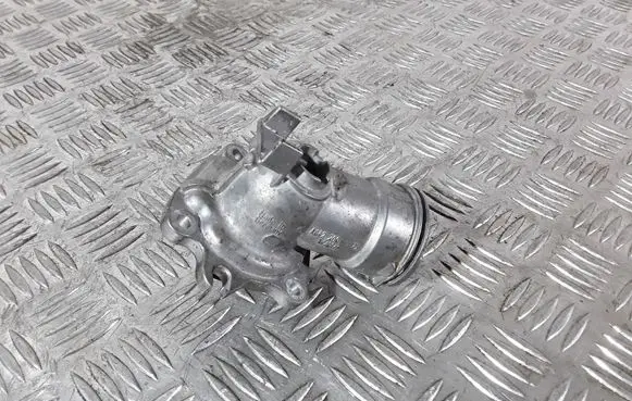 Thermostat/thermostat housing
